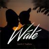 Download track Wale