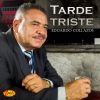 Download track Tarde Triste