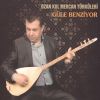 Download track Mezarıma Gelsen Ne Olur