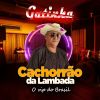 Download track Na Cachaça Eu Boto Fé