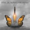 Download track Trilogy Ryche Chlanda And Flying Dreams