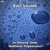 Download track New Age Rain Sounds For Serenity