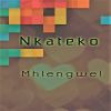 Download track Mhlengwe!