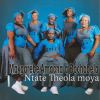 Download track Vhohangwa Thapelo