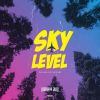 Download track Sky Level