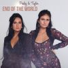 Download track End Of The World