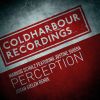 Download track Perception' Johan Gielen Extended Remix