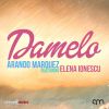 Download track Damelo