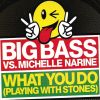 Download track What You Do (Playing With Stones) (The Young Punx Remix)