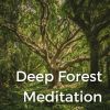 Download track Jungle Relaxation Sleep