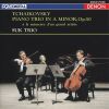 Download track Piano Trio «A  La Memoire D'un Grand Artiste», Op. 50: IIB. Variazione Finale E Coda