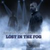 Download track Lost In The Fog (Lost In The Dub) (Lost In The Dub;