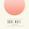 Download track Soul Mate