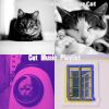 Download track Cultured Music For Training Your Cat