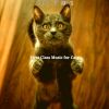 Download track Lovely (Relaxing Cats)