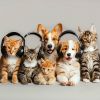 Download track Calming Collar Jingles