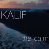 Download track The Calm