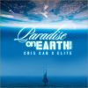 Download track Paradise On Earth (Remix)