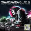 Download track Sink Into Me (Protoculture Remix)