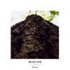 Download track Stellaire