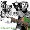 Download track One Nation Under The Blues