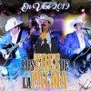 Download track Tragos De Amargo Licor (En Vivo)