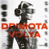 Download track VOLYA