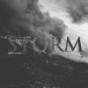 Download track Storm [DJ Hidden Remix]