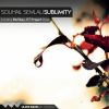 Download track Sublimity (E. T Project Remix)