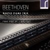 Download track Piano Trio In E-Flat Major, Op. 1, No. 1: II. Adagio Cantabile