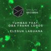 Download track Elegua Laguana (Extended Mix)