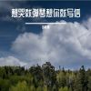 Download track 想哭就弹琴想你就写信