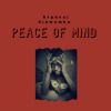 Download track Peace Of Mind