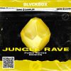 Download track Jungle Rave (Extended Mix)