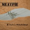 Download track Electric Wasteland