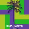 Download track Subsurface (Ibiza Son Dub Remix)