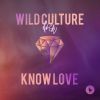 Download track Know Love (Extended Mix;