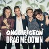 Download track Drag Me Down (Instrumental)