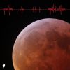 Download track Superblood Wolfmoon