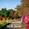 Download track Estrellas En El Jardin