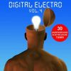 Download track Electro Funkin'