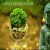 Download track Nature Meditation Music Nº8