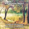 Download track Relaxation Music, Pt. 50