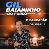 Download track Diz Que É Tímida