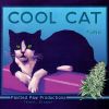 Download track 06 - Cool Cat Funkn