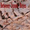 Download track Stones And Bones