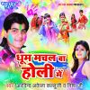 Download track Aaja Ae Raja Holi Me