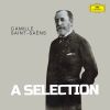 Download track Saint-Saëns Carnival Of The Animals, R. 125 I. Introduction And Royal March Of The Lions
