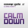 Download track Calm Down (Radio Edit)