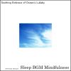 Download track Soothing Moments With Rhythms Of Sleep And Healing